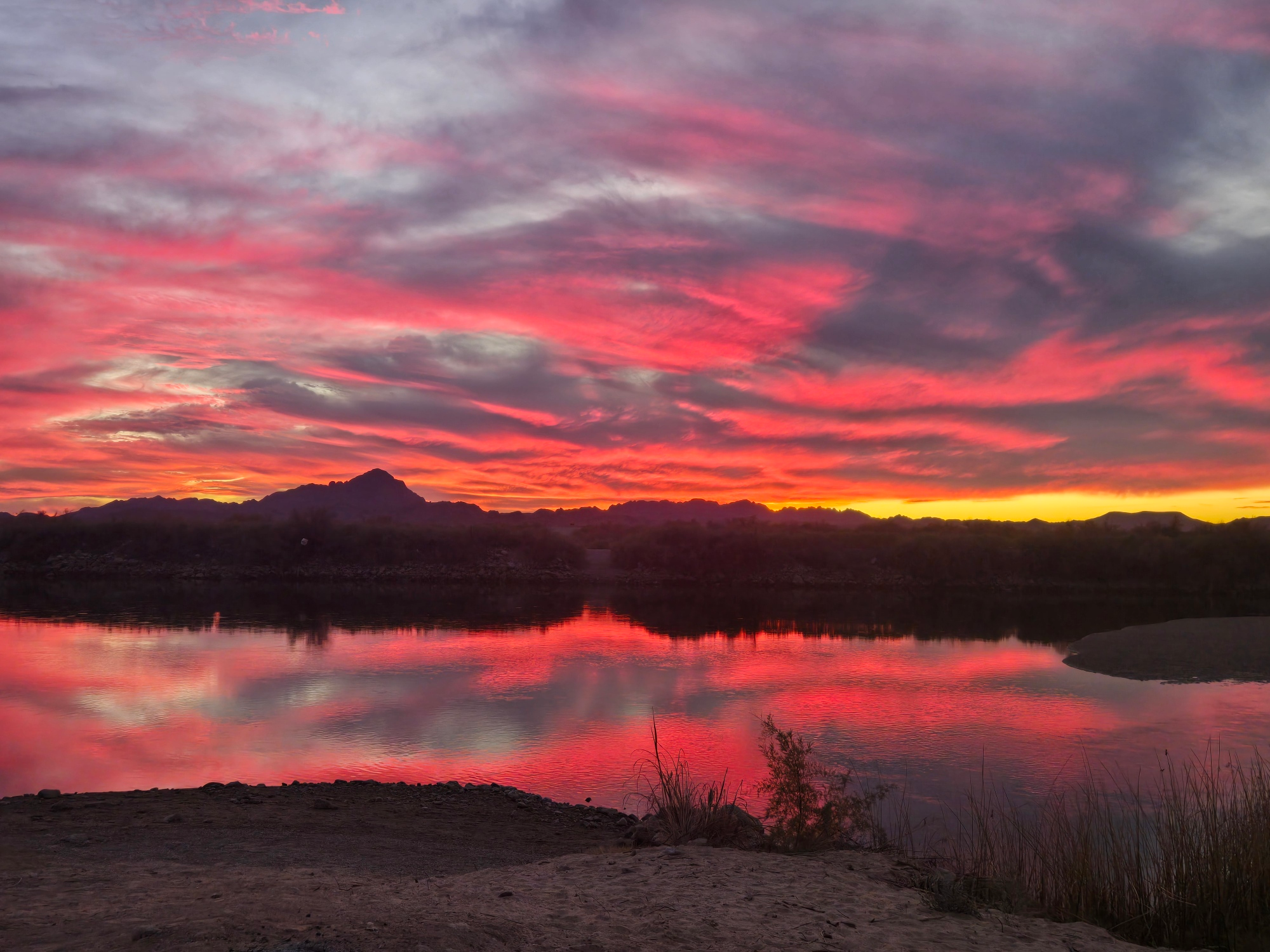 Why I Wanted to Start This Forum